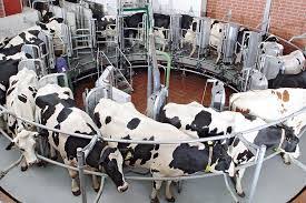 Dairy Farm Equipment